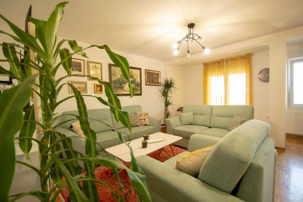 Apartment Spacious, And Luxury Flat With Great View! Novi Sad