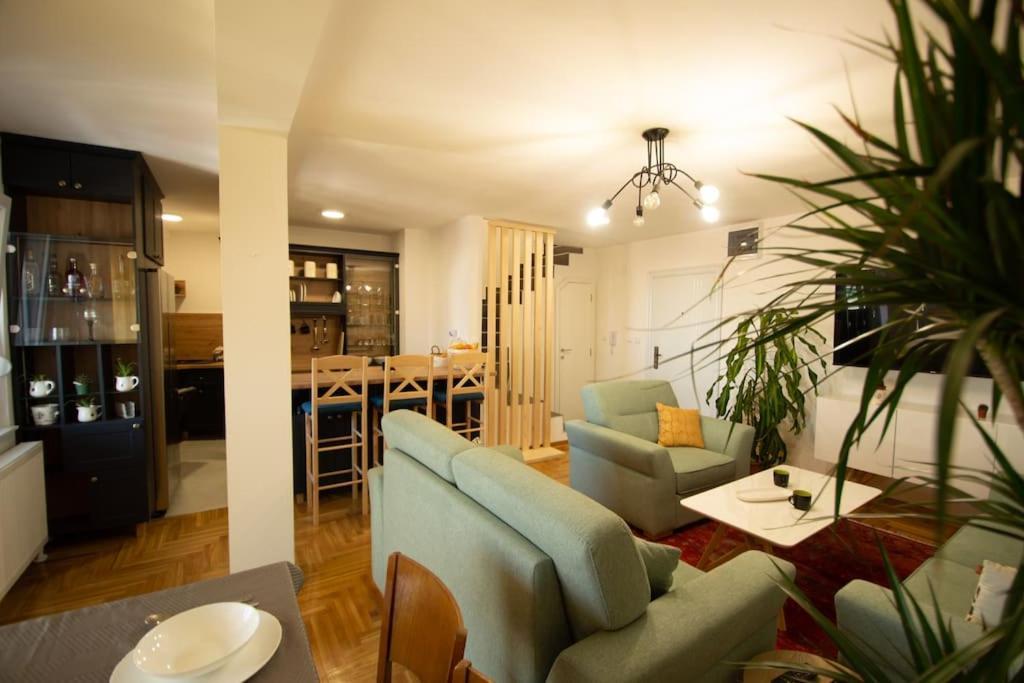 Spacious, And Luxury Flat With Great View! * Novi Sad