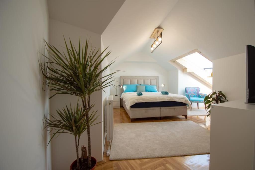Apartment Spacious, And Luxury Flat With Great View! Novi Sad