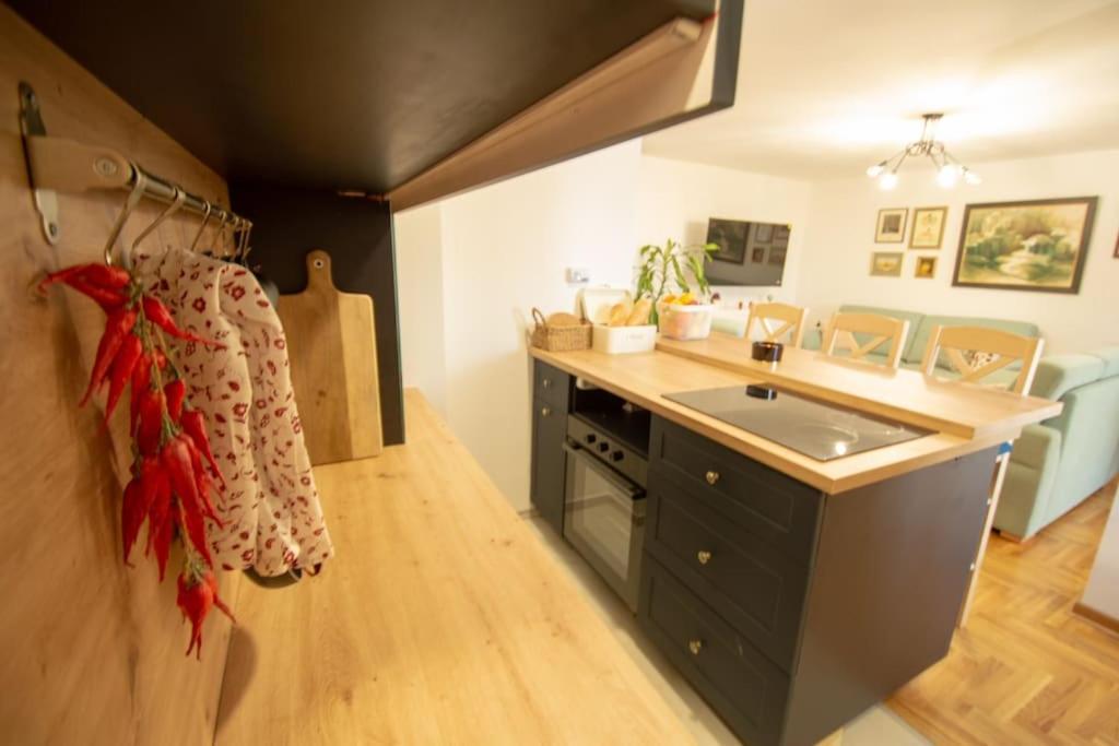 Spacious, And Luxury Flat With Great View! Apartment Novi Sad